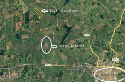 Fazenda para agricultura em cana com 52,5 alqueires paulistas em fernandópolis - sp