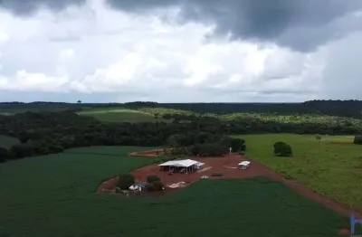 Fazenda para agricultura com 1.300 hectares em primavera do leste