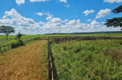 Fazenda à venda na Estrada Vicinal Municipal De Itarumã, km 14, Zona Rural, Itarumã