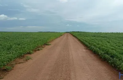 Fazenda para agricultura com 227 alqueires em santa rita do tocantins-to