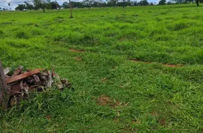 Fazenda com 55 alqueires de dupla aptidão em campina verde-mg