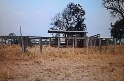 Fazenda com 76 alqueires dupla aptidão no município de campina verde - mg
