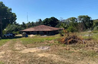 Fazenda à venda na Estrada Vicinal Municipal De Goianésia, Km 0,5, Área Rural de Goianésia, Goianésia