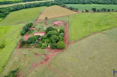 Fazenda de dupla aptidão com 63 alqueires em cachoeira dourada-go