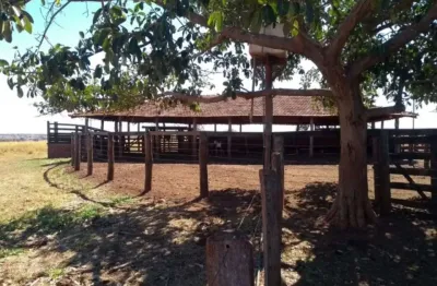 Fazenda dupla aptidão em campina verde-mg 206 alqueires