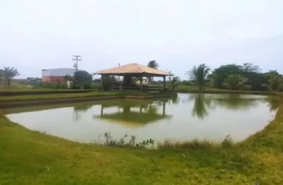 Ótima fazenda 130 alqueires dupla aptidão com cana arrendada e pista de pouso em panorama-sp