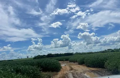Ótima fazenda de dupla aptidão com 435 alqueires em mara rosa-go