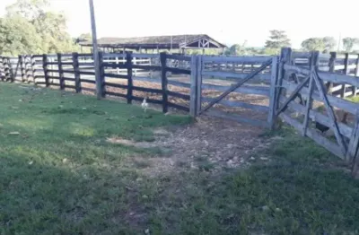 Fazenda com 198 alqueires dupla aptidão em jaú do tocantins - to