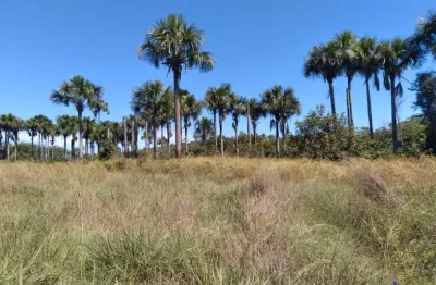 Fazenda com 680 alqueires toda bruta na região de ponte alta do tocantins-to