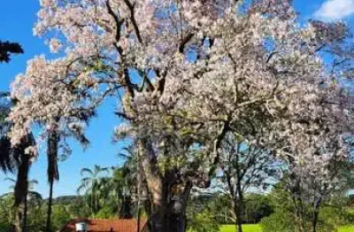 Fazenda com 46 alqueires de dupla aptidão em campina verde-mg