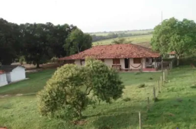 Fazenda dupla aptidão 3.500 alqueires de porteira fechadaem muricilândia-to