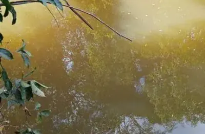 Fazenda com 160 alqueires de dupla aptidão em rio sono-to