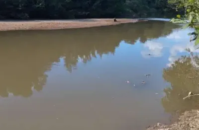 Chácara / sítio à venda na Estrada Vicinal Municipal De Faina, km 4, Zona Rural, Faina