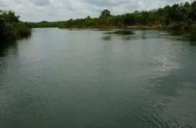 Fazenda 1.260 alqueires de dupla aptidão em dianópolis-to