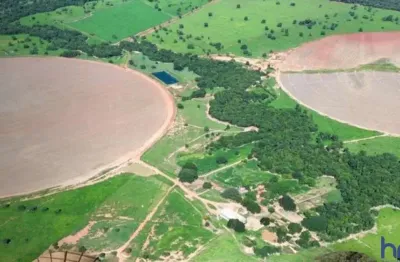 Ótima fazenda com 100 alqueires de dupla aptidão em arinos-mg