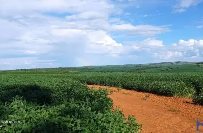 Fazenda com 180 alqueires para acrigultura em doverlândia-go