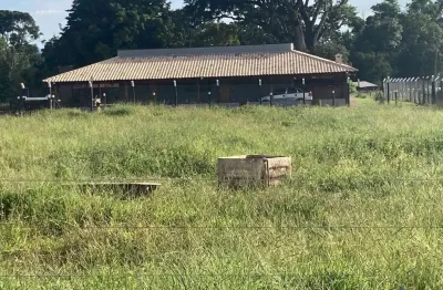 Ótima fazenda com 23 alqueires de dupla aptidão em uberaba-mg