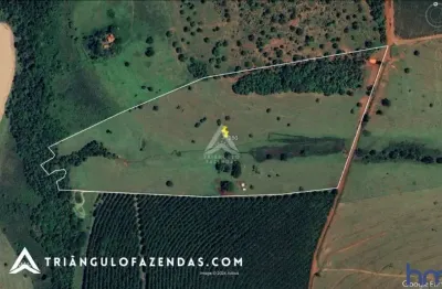 Sítio de 3 alqueires dupla aptidão em são francisco de sales-mg