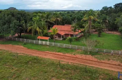 Fazenda de dupla aptidão com 100 alqueires em caçu-go