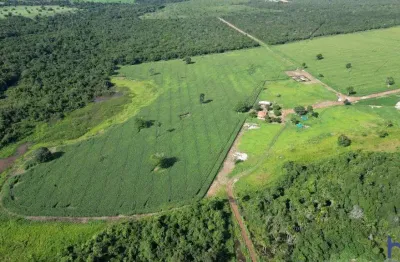 Fazenda com 100 alqueires de dupla aptidão em são miguel do araguaia-go