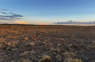 Fazenda com 400 alqueires para agricultura em xinguara-pa