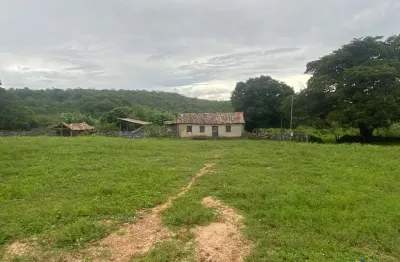 Fazenda com 600 alqueires para pecuária ainda bruta em arraias -to