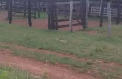 Fazenda com 250 alqueires de dupla aptidão situada no município de peixe-to