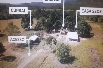 Fazenda para pecuária com 94 alqueires em teresina de goiás - go