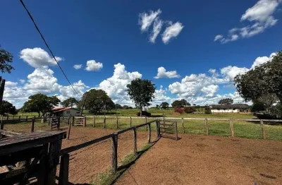 Fazenda com 200 alqueires de dupla aptidão em são miguel do araguaia-go