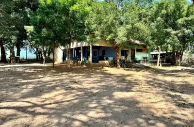 Fazenda com 1.000 alqueires de dupla aptidão em almas-to