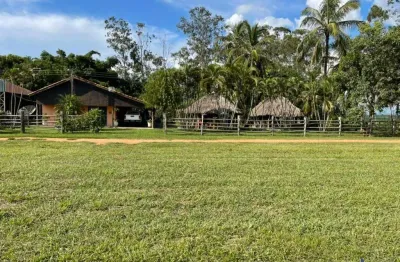 Fazenda com 3.234  alqueires paulistas dupla aptidão no município de alcinópolis - ms