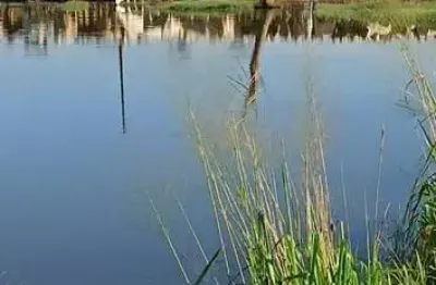 Fazenda para pecuária com 525 alqueires em pacajá-pa