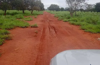 Grande fazenda de dupla aptidão com 1.400 alqueires em silvanópolis-to