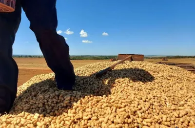 Fazenda para agricultura com 450 alqueires paulistas em cassilândia-ms