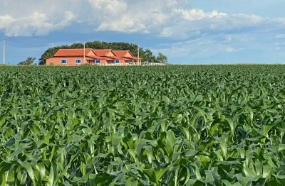 Fazenda com 1.050 alqueires dupla aptidão no município de santana do araguaia - pa