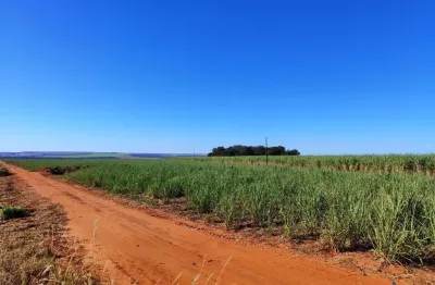 Fazenda com 930 alqueires de dupla aptidão arrendada cana e eucalipto em chapadão do céu-go