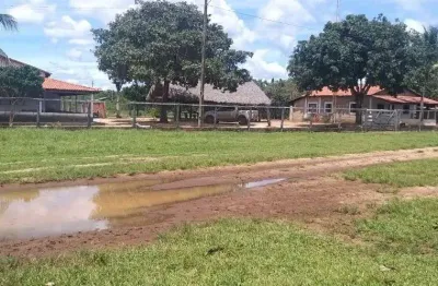 Fazenda dupla aptidão com 200 alqueires em são pedro dos crentes-ma