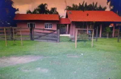 Fazenda dupla aptidão com 88 alqueires em são félix do xingu - pa