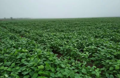 Fazenda à venda na Estrada Vicinal Municipal De Doverlândia, S/N, Zona Rural, Doverlândia