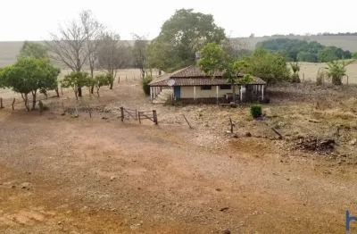 Fazenda à venda na Estrada Vicinalo Municipal De Ipameri, Km 23, Zona Rural, Ipameri