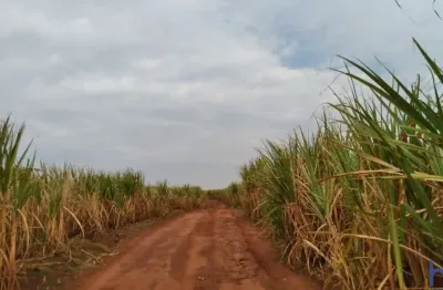 Fazenda com 71 alqueires arrendada para usina de cana em união de minas-mg