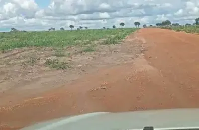 Fazenda com dupla aptidão com 100 alqueires em aruanã-go