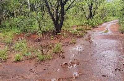 Fazenda com 245 alqueires de dupla aptidão em araguacema-to