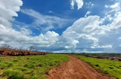 Fazenda com 63 alqueires de dupla aptidão em uberlândia-mg