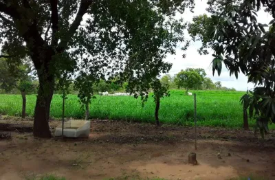 Oportunidade fazenda com 475 alqueires dupla aptidão em rio sono-to