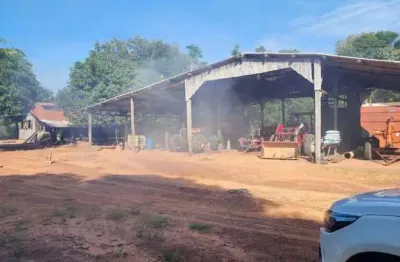 Fazenda com 294 alqueires de dupla aptidão em centenário-to