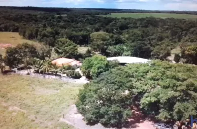 Fazenda com 840 alqueires dupla aptidão no município de novo acordo - to