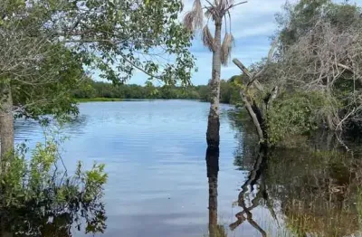 Fazenda com 180 alqueires para pecuária em cocalinho - mt