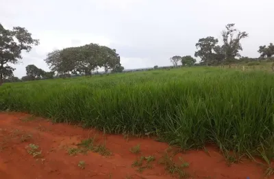 Fazenda à venda na Estrada Vicinal Municipal De Porangatu, km 15, Zona Rural, Porangatu