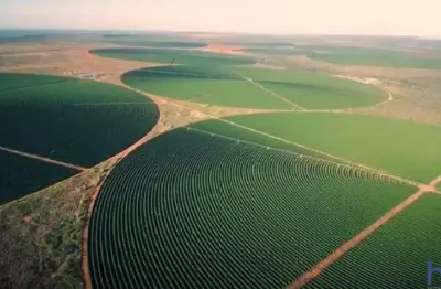 Fazenda com 420 alqueires com cultivo de café irrigado em buritizeiro-mg